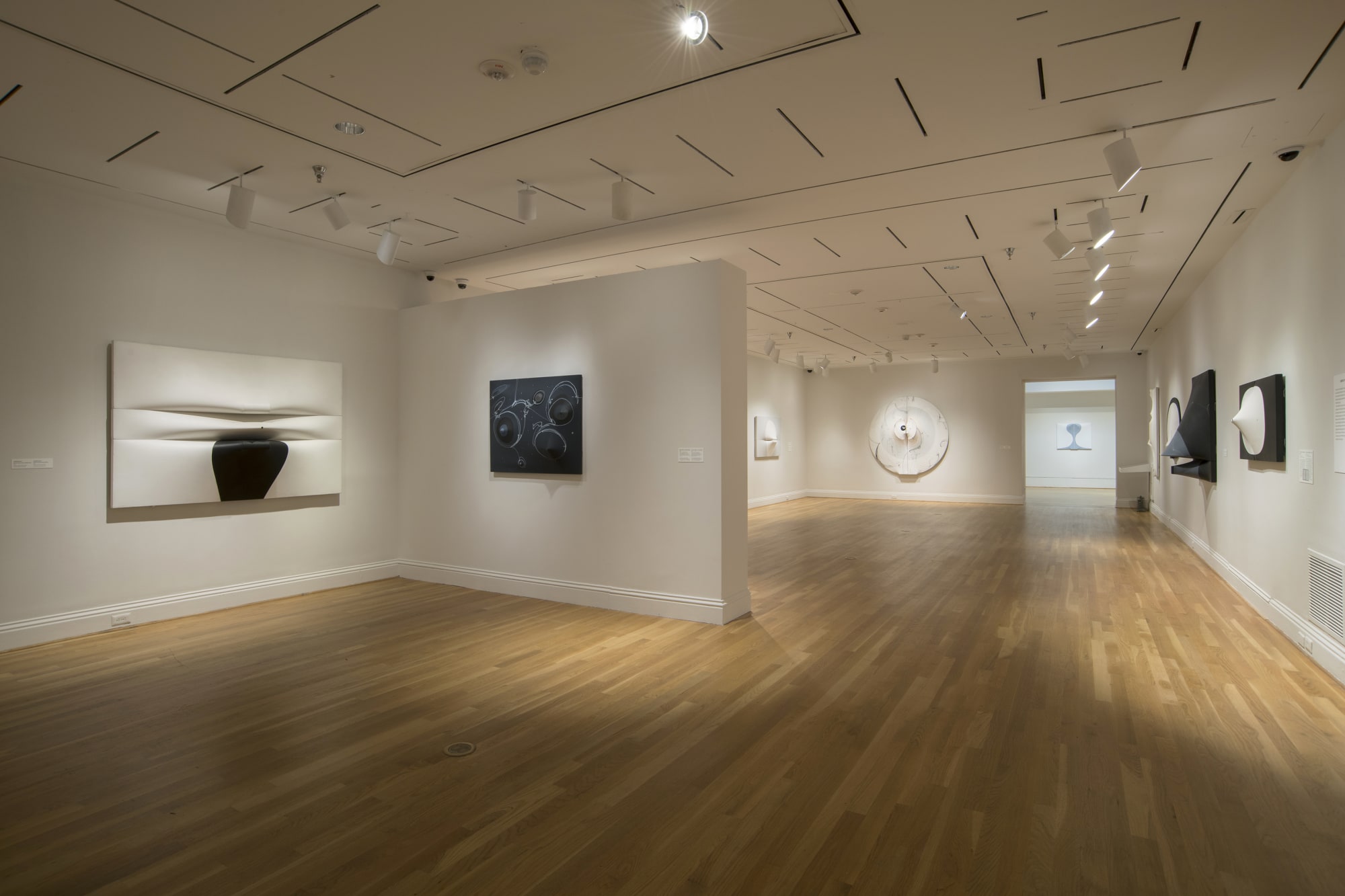 Zilia Sánchez: Soy Isla (I Am an Island)