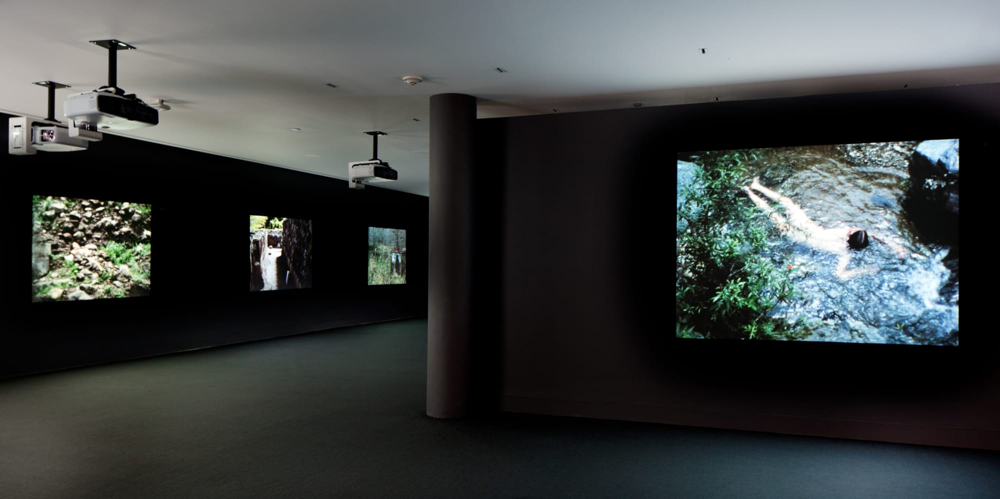 Ana Mendieta: Covered in Time and History: The Films of Ana Mendieta