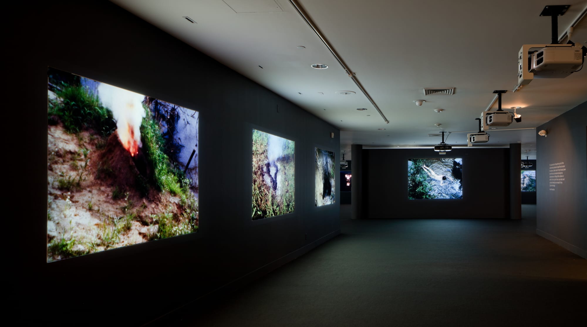 Ana Mendieta: Covered in Time and History: The Films of Ana Mendieta