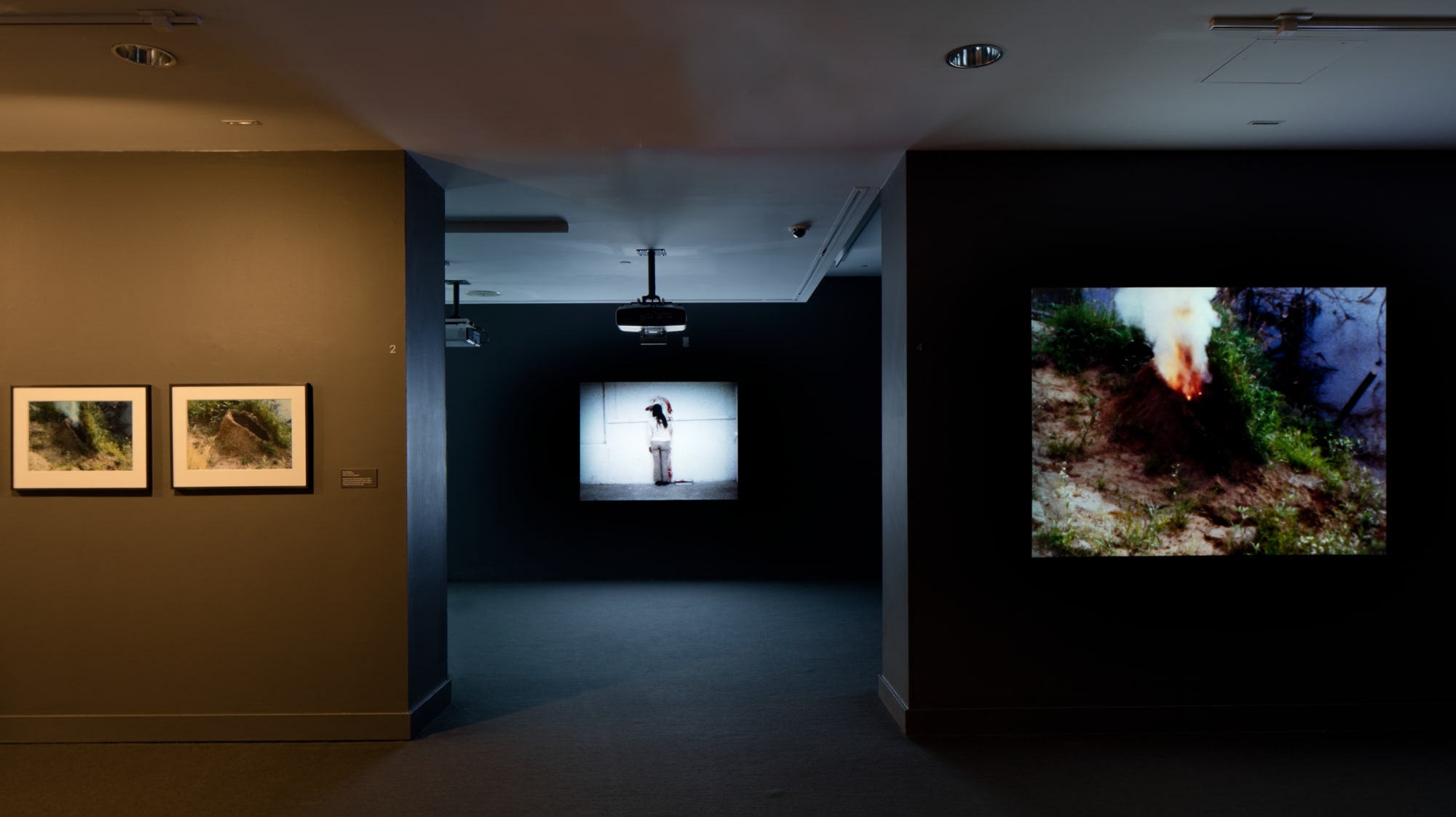 Ana Mendieta: Covered in Time and History: The Films of Ana Mendieta