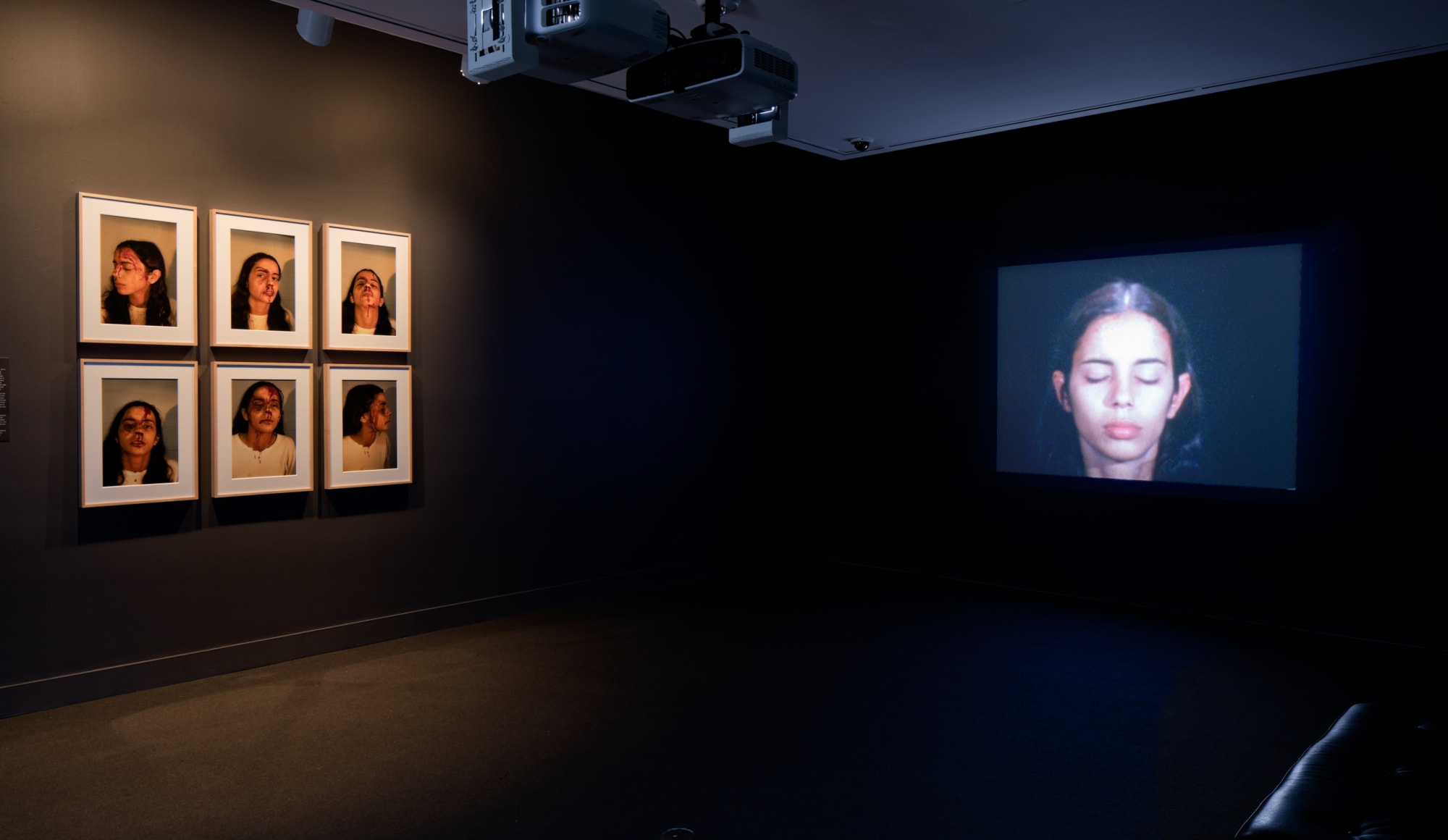 Ana Mendieta: Covered in Time and History: The Films of Ana Mendieta