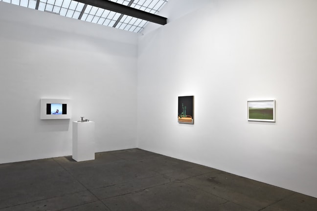 The Fifth Genre: Considering the Contemporary Still Life