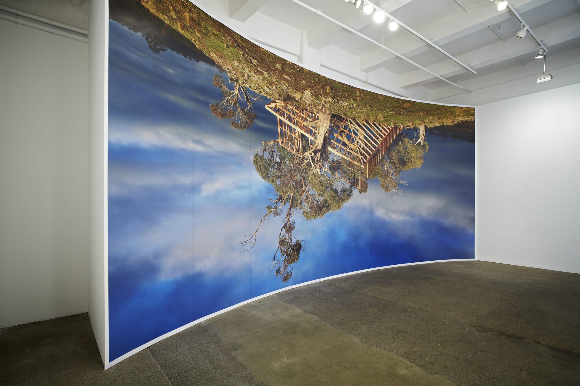 Rosemary Laing: leak