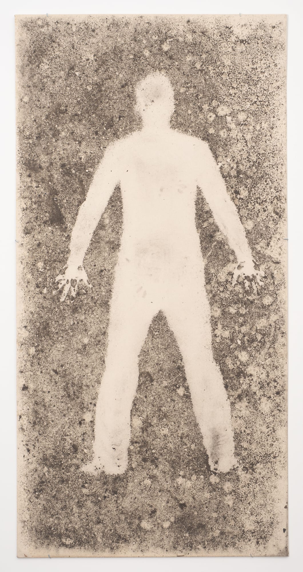 Andy Goldsworthy Rain Shadow 2 25 January 2010 West 26th Street, New York, 2010 Dirt and rain on canvas 98 x 48 inches (243 x 122 cm)