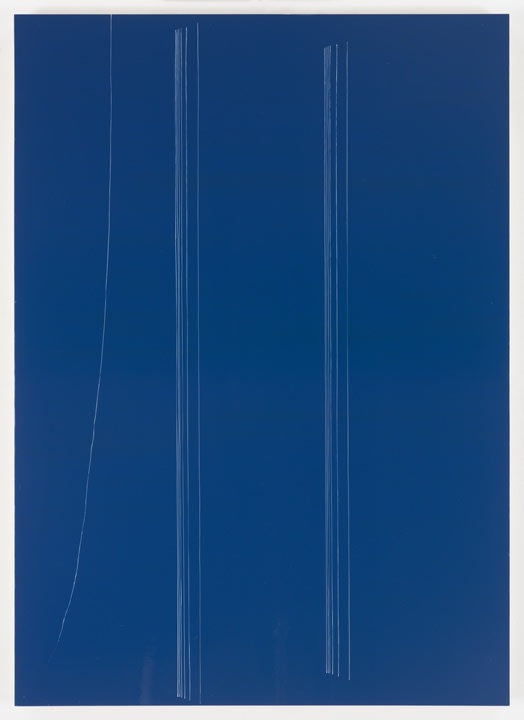 Kate Shepherd dark bic, colonnade, thread in wind, 2016 Oil and enamel on panel 42 x 30 inches (106.7 x 76.2 cm)