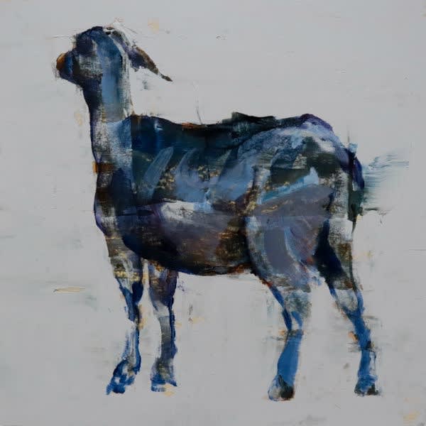 Nicolas Sanchez - Black goat II - 2018 - olieverf op paneel - 25,5 x 25,5 cm