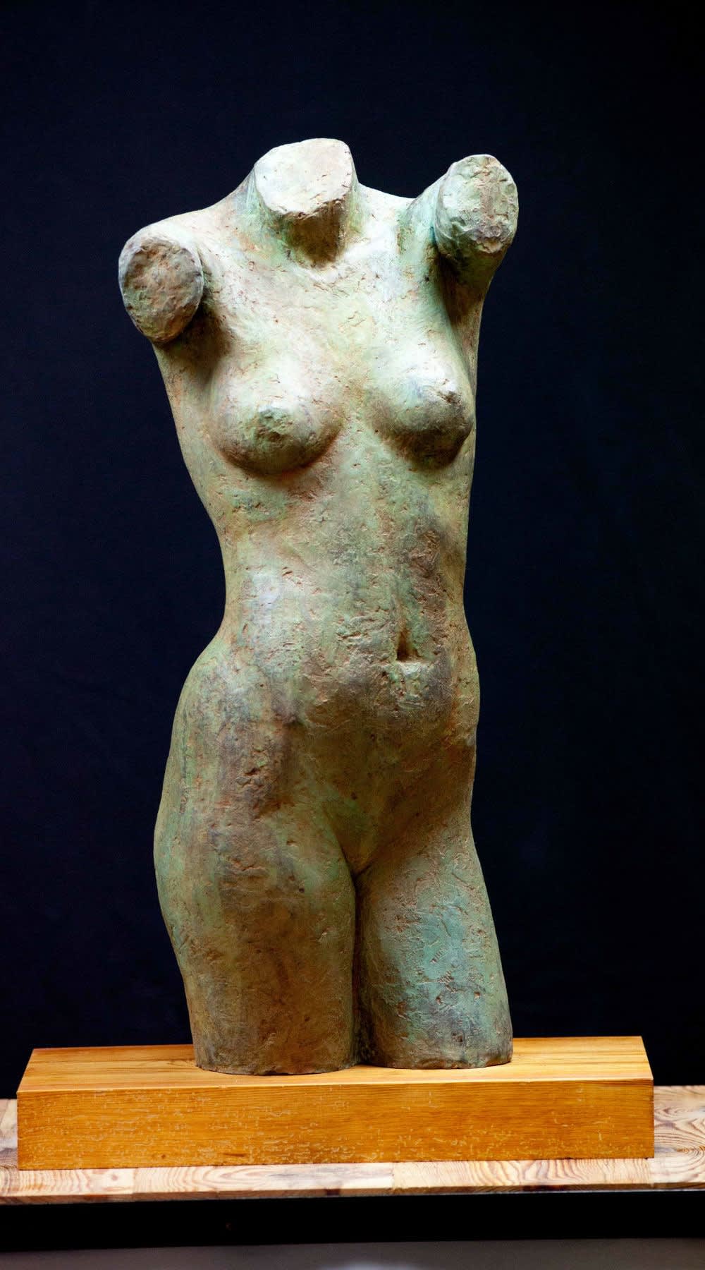 Female Torso - 2018 - gepatineerd brons - 83 x 36 x 25 cm
