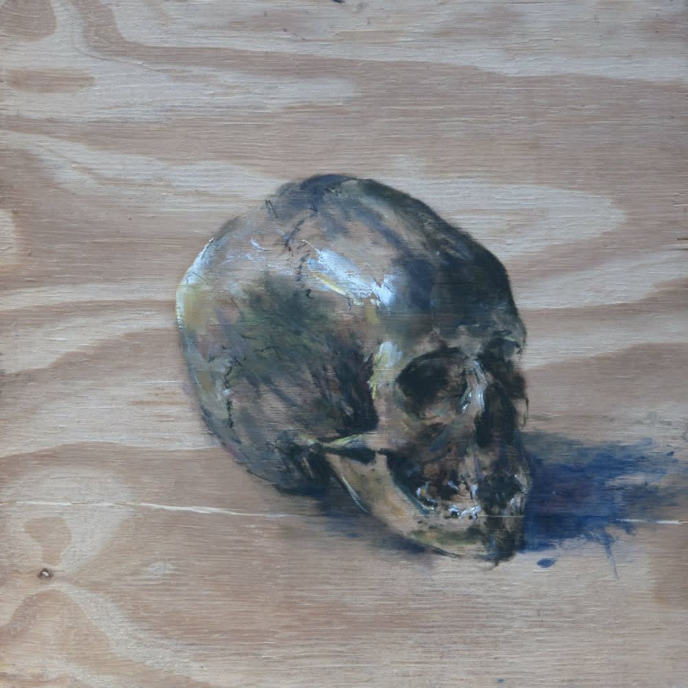 Sam Drukker - Schedel op vurenhout - 2017 - olieverf op hout - 34 x 34 cm