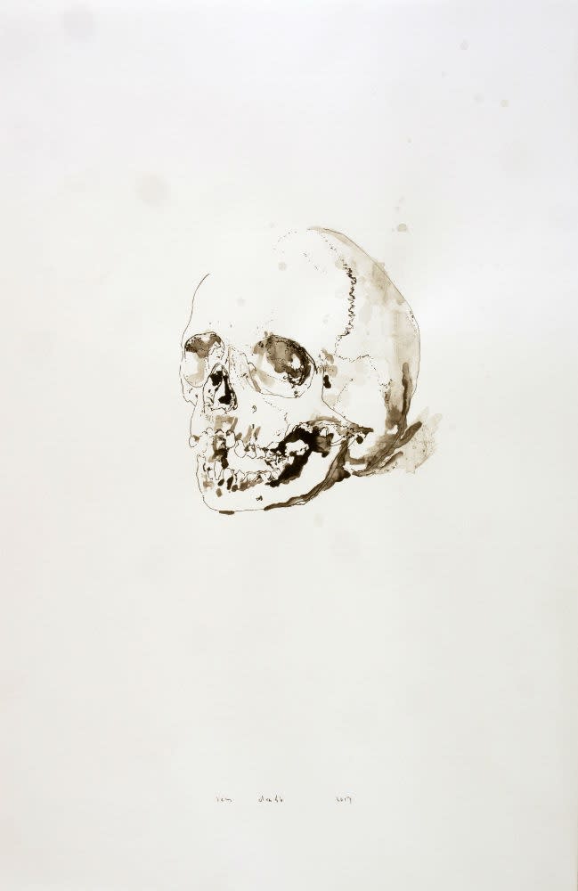 Sam Drukker - Studie voor schedel - 2017 - gewassen inkt op papier - 50 x 35 cm