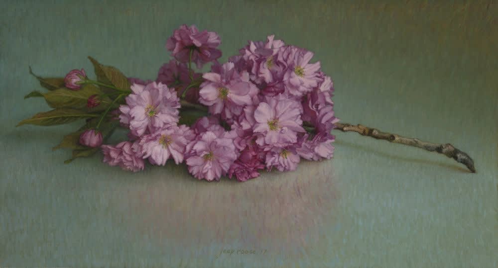 Jaap Roose - Sierkersbloesem - 2017 - olieverf op paneel - 25,8 x 47,8 cm