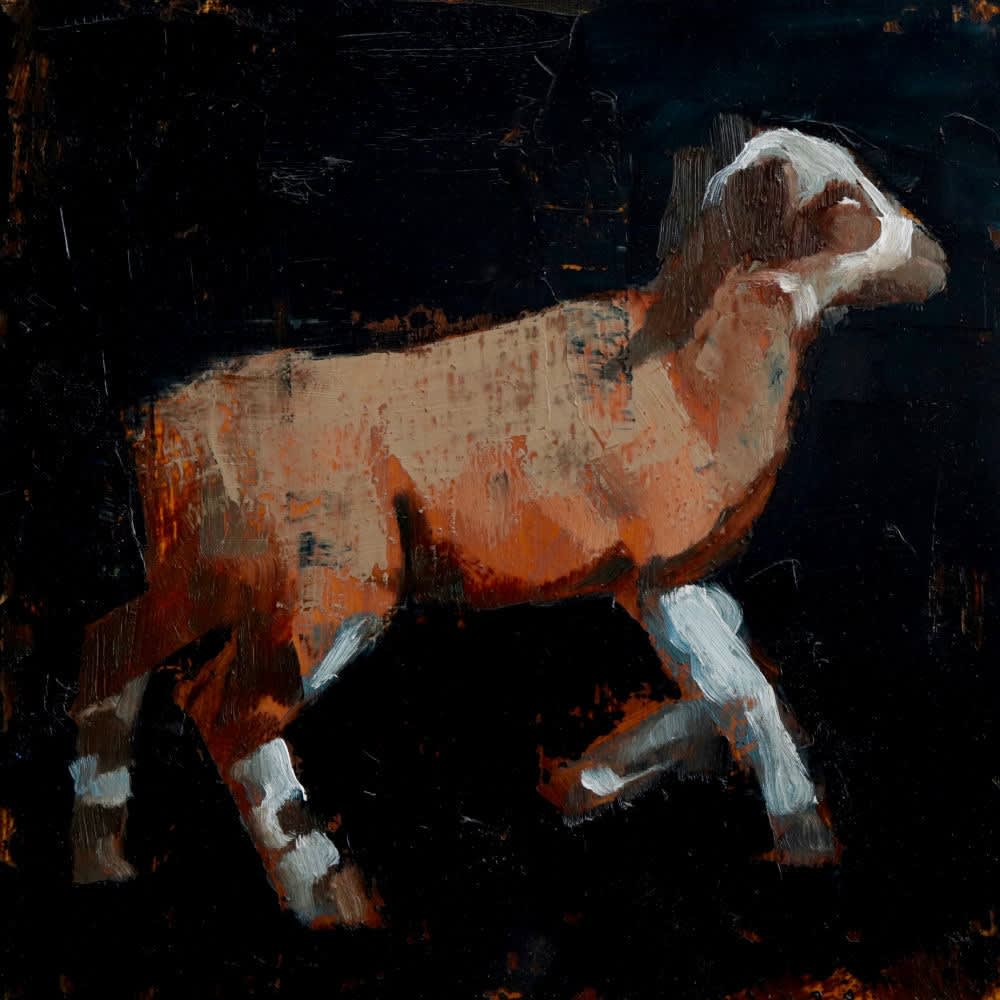 Nicolas Sanchez - Pepper - 2017 - olieverf op paneel - 20 x 20 cm