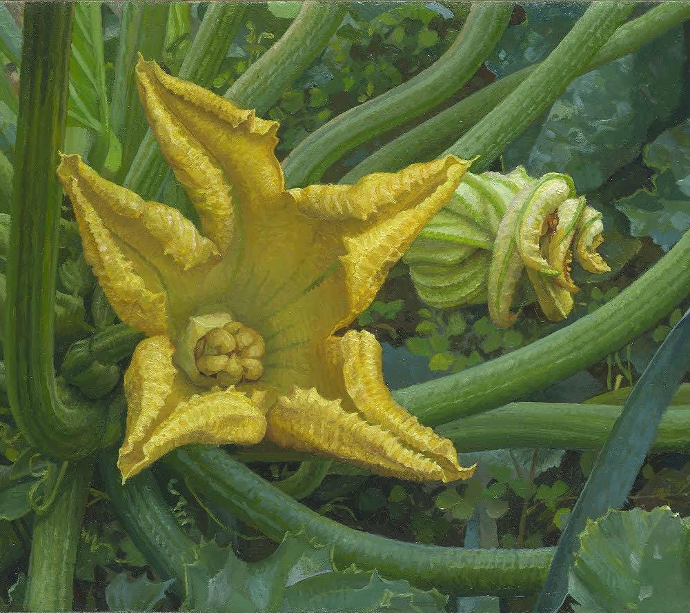 Joke Frima - Bloei en na de bloei - 2016 - olieverf op paneel - 20 x 30 cm