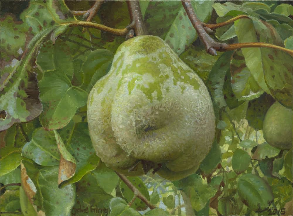 Joke Frima - Katoenappel - 2016 - olieverf op paneel - 17 x 23 cm