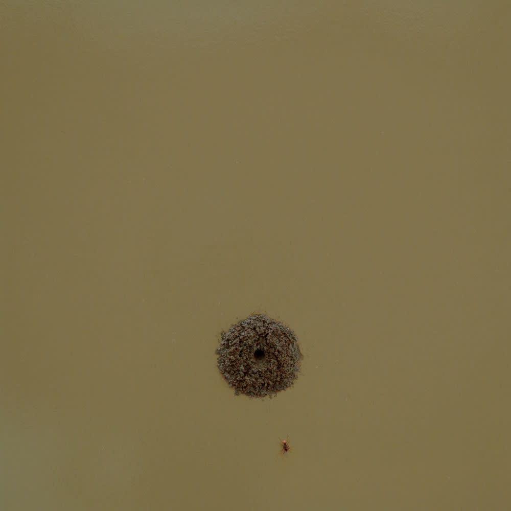 Stijn Rietman - Traktatie - 2016 - olieverf op paneel - 18.7 x 18.7 cm