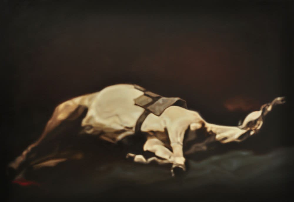 Celine Germes - Horse - 2015 - olieverf op doek - 89 x 130 cm