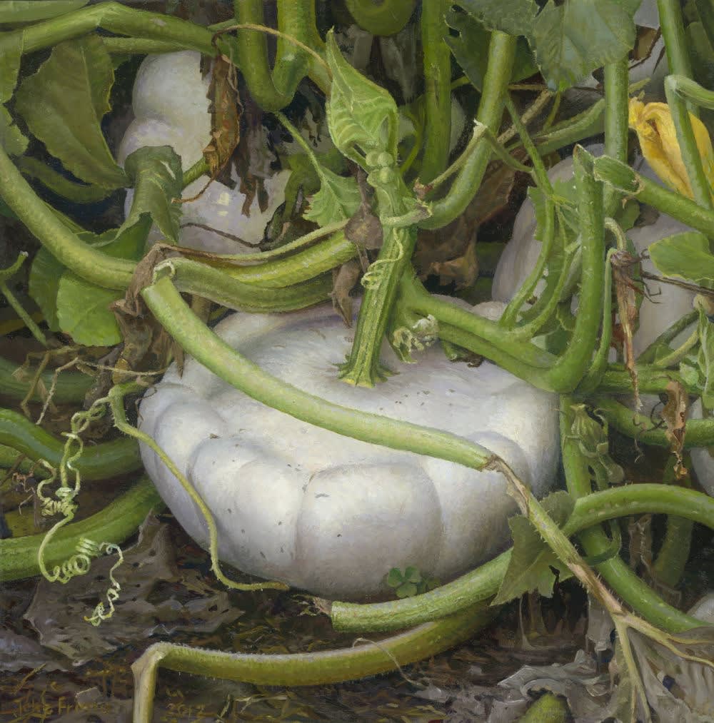 Joke Frima - Pâtison aan plant - olieverf op paneel