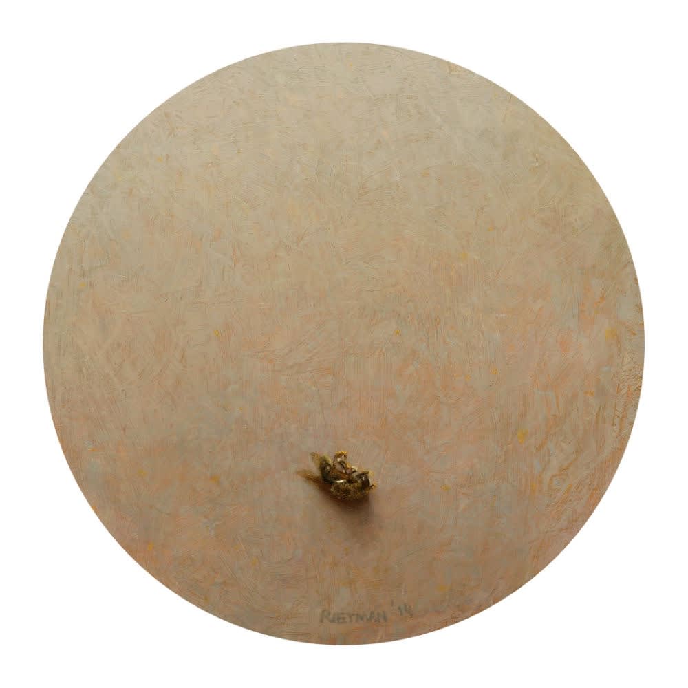 Stijn Rietman - Bij - 2014 - olieverf op masoniet - d. 15.5 cm