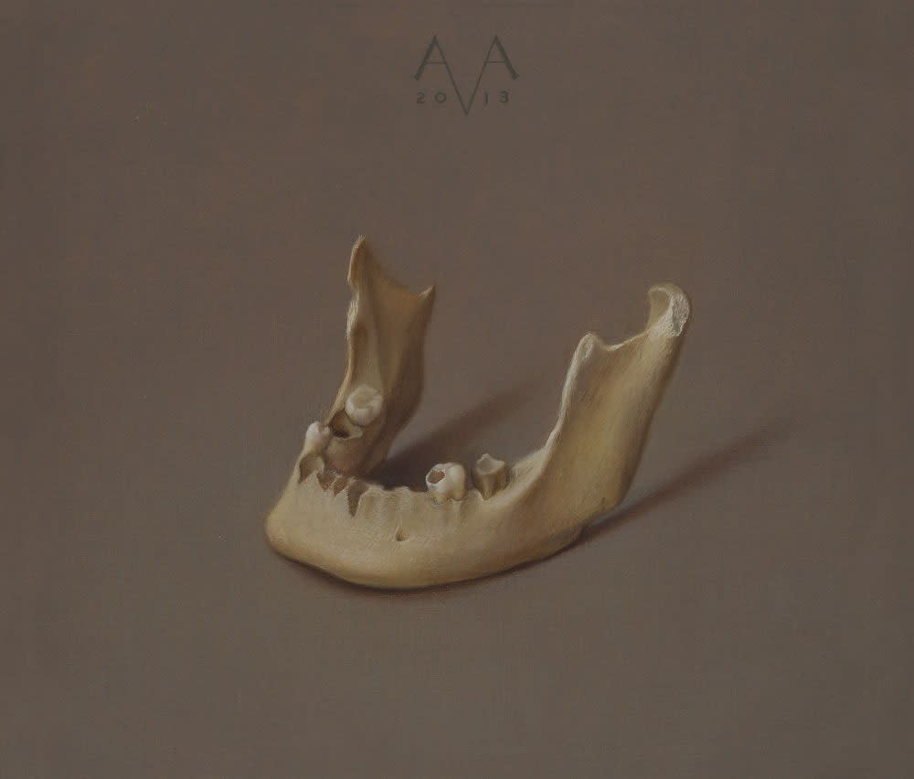 Arnout van Albada, Kaakje, 2013