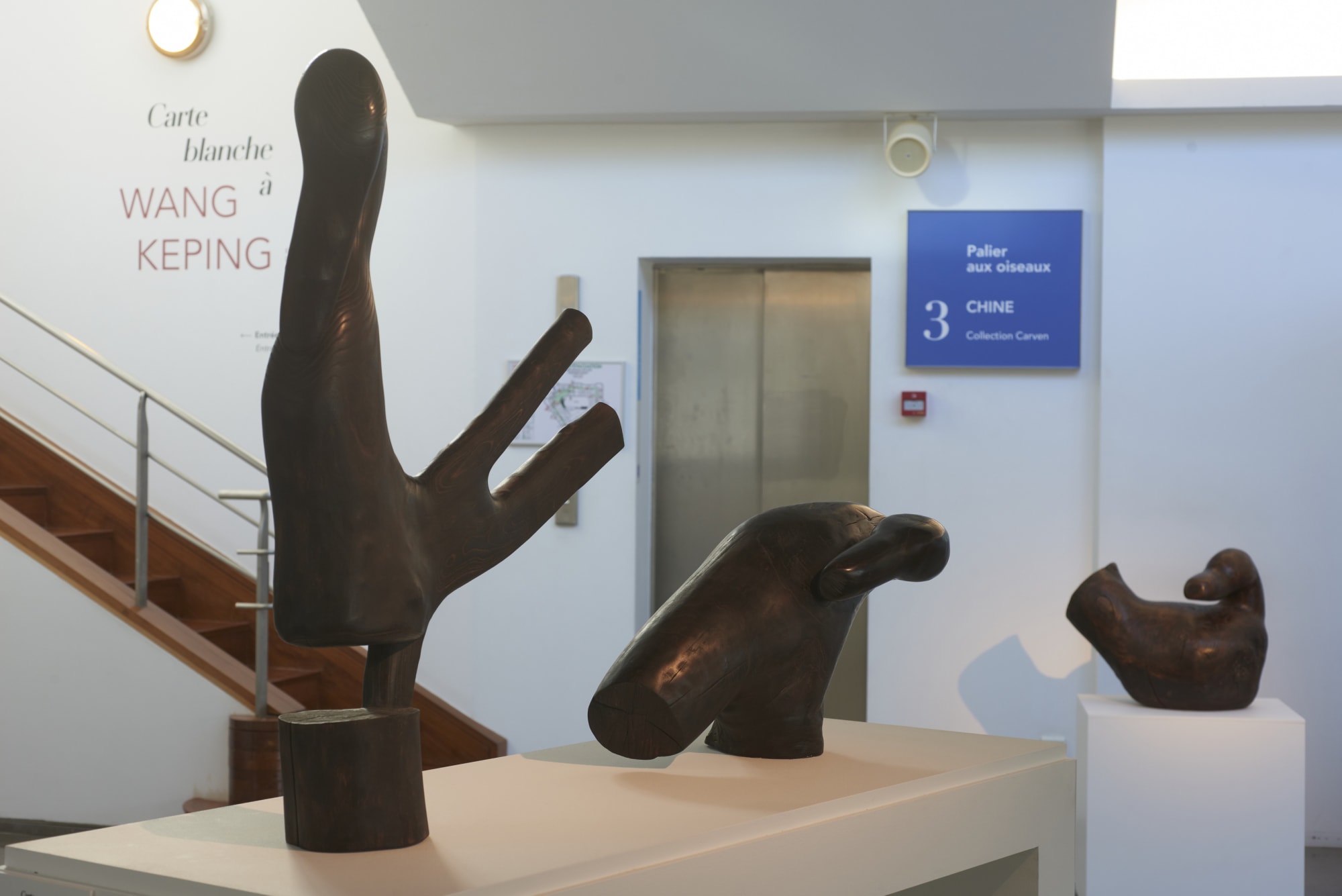 © MNAAG, 2022, Thierry Ollivier