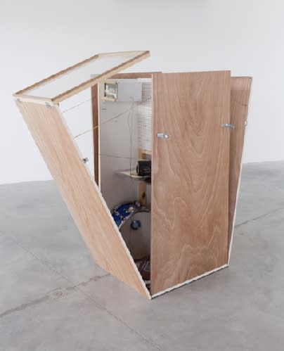 Joris Van de Moortel