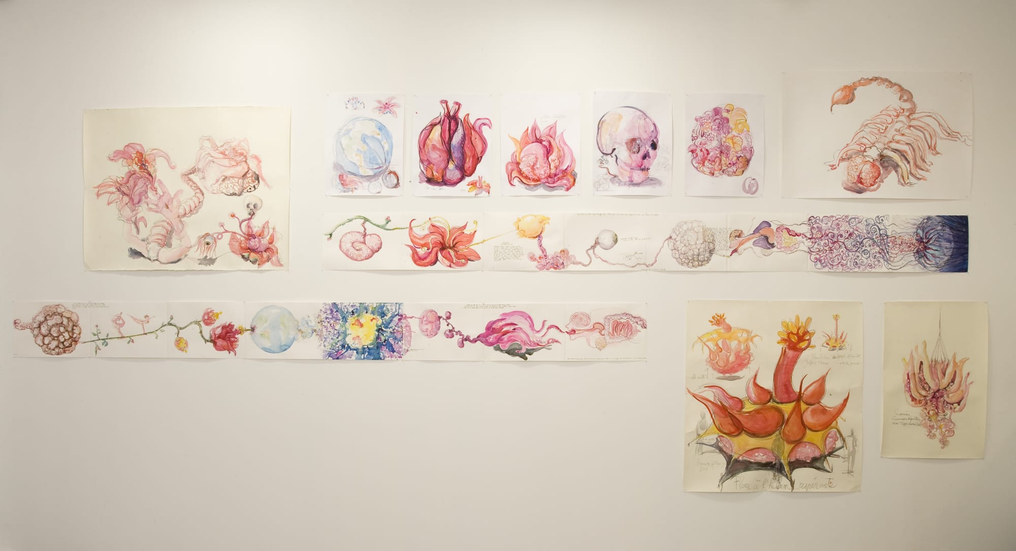 Marie Darrieussecq Anne Ferrer