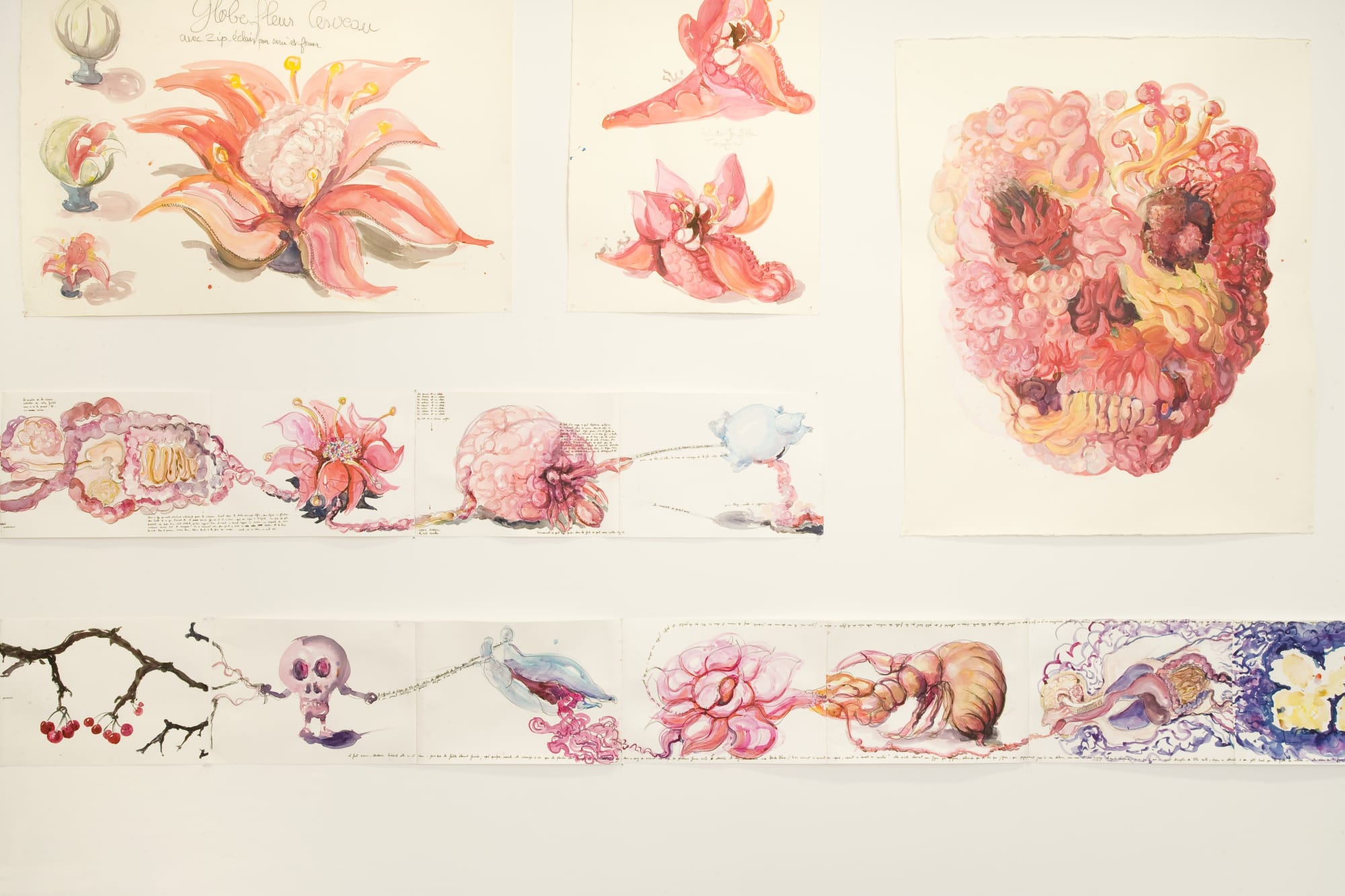 Marie Darrieussecq Anne Ferrer