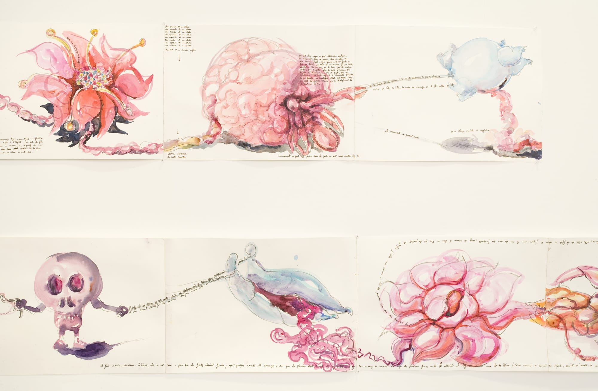 Marie Darrieussecq Anne Ferrer