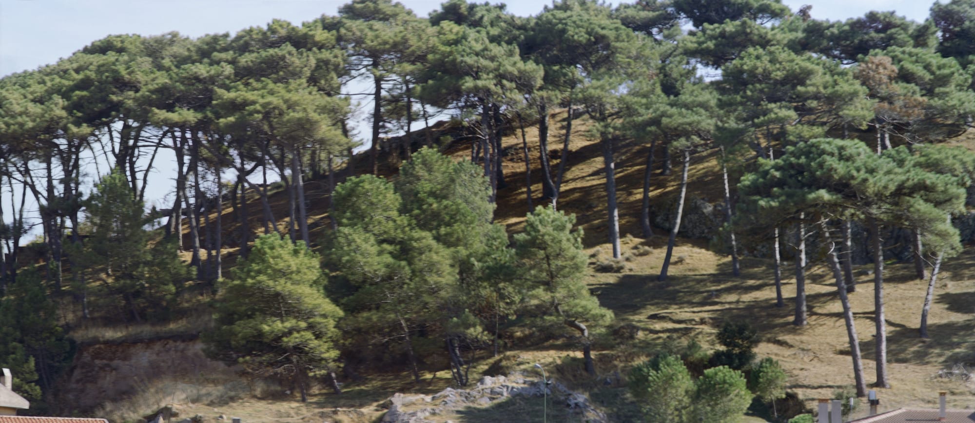 Patrick Faigenbaum Colline San Giuseppe, Santulussurgiu (2), 2019 Pigment inkjet print from silver negative 50,5 x 113 cm Edition of 3 + 2 AP