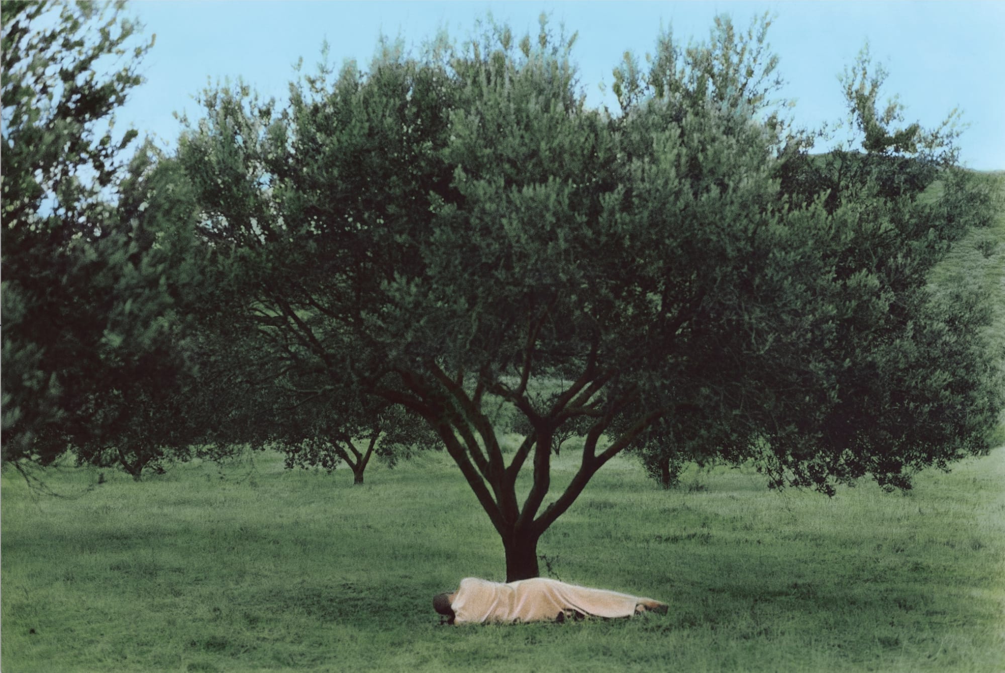 Self portrait with an Olive Tree, Kéa 2016, 2016 Hand colored gelatin silverprint 43,5 x 56,5 x 3,5 cm Variation of 10