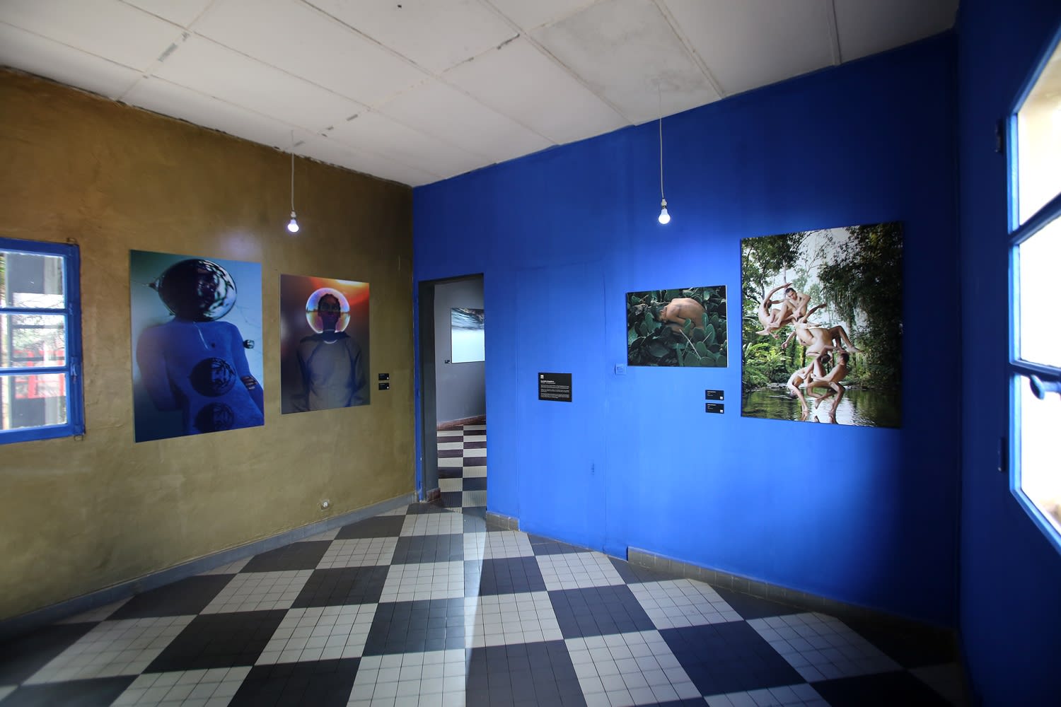 INNATE: FUTURE BLOOMS