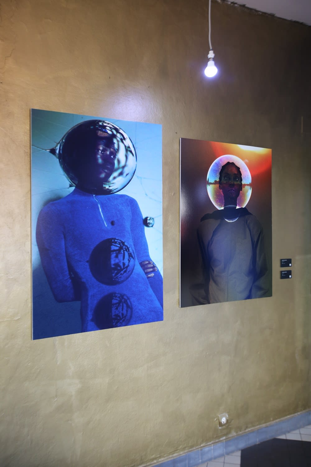 INNATE: FUTURE BLOOMS