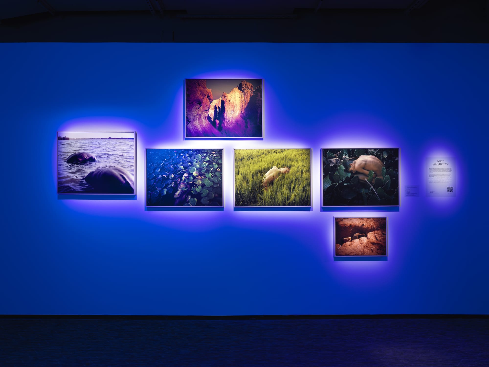 HUMAN / NATURE - Exhibition at Fotografiska New-York.