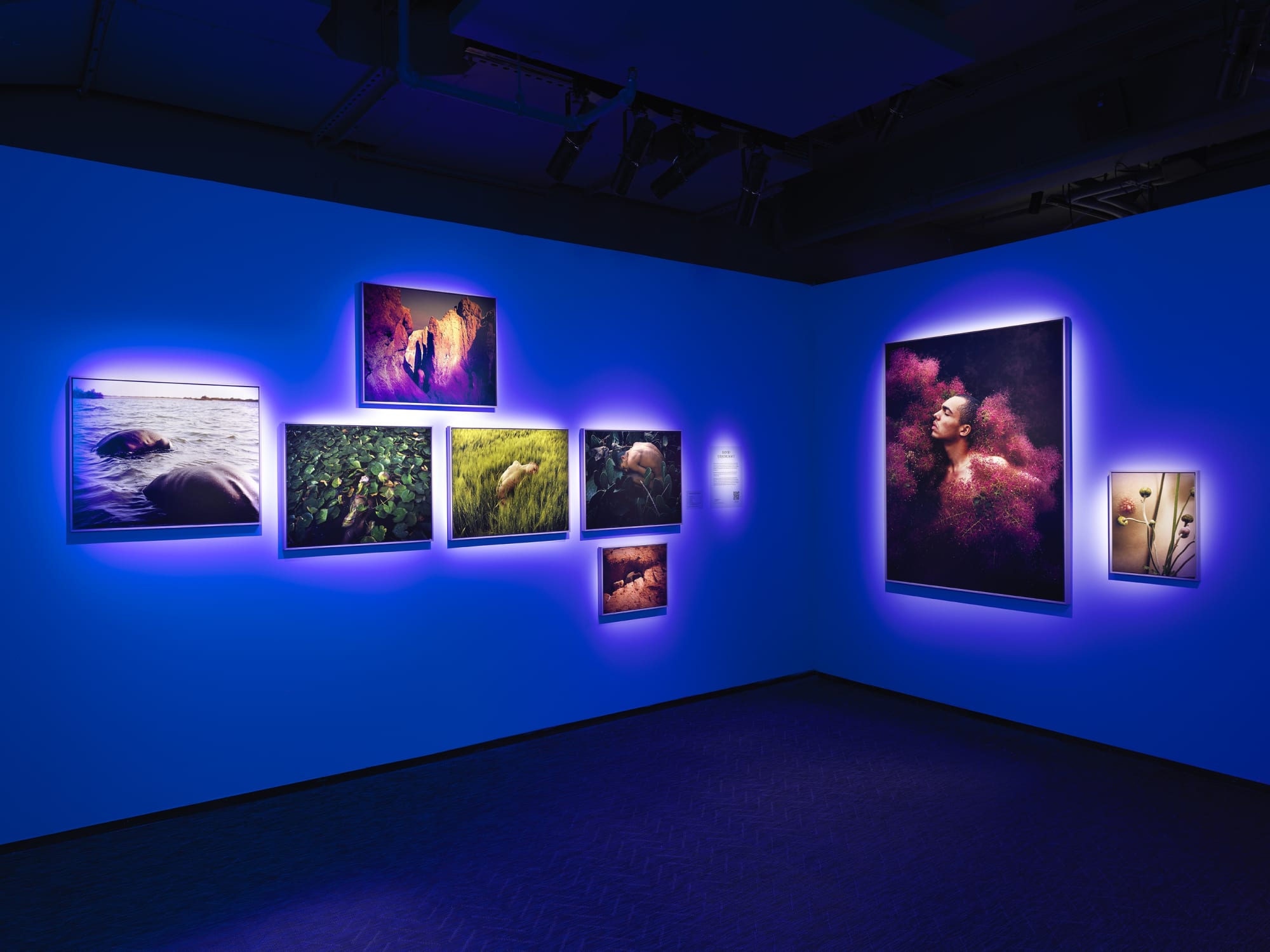 HUMAN / NATURE - Exhibition at Fotografiska New-York.