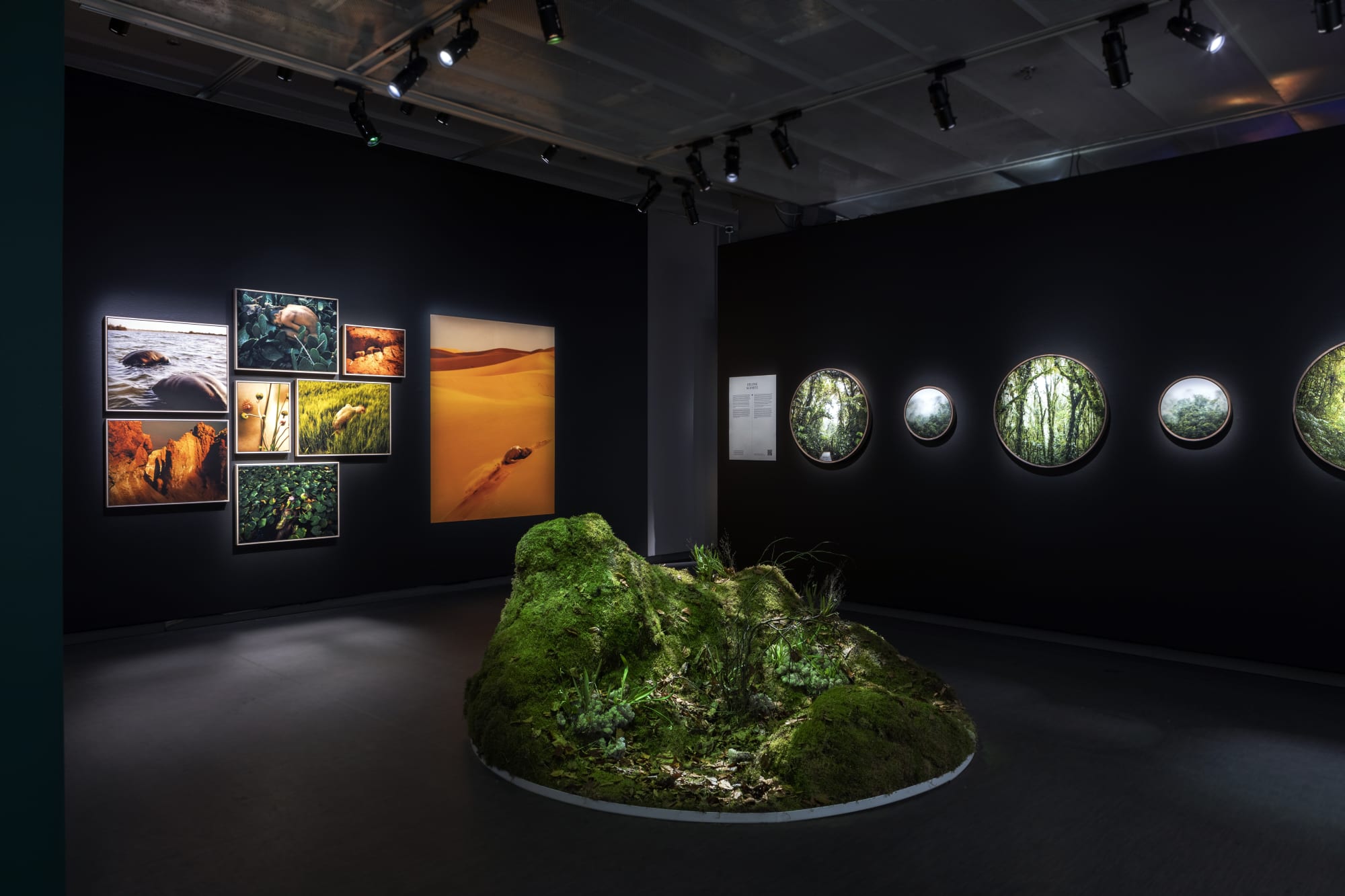 © Fotografiska Sweden