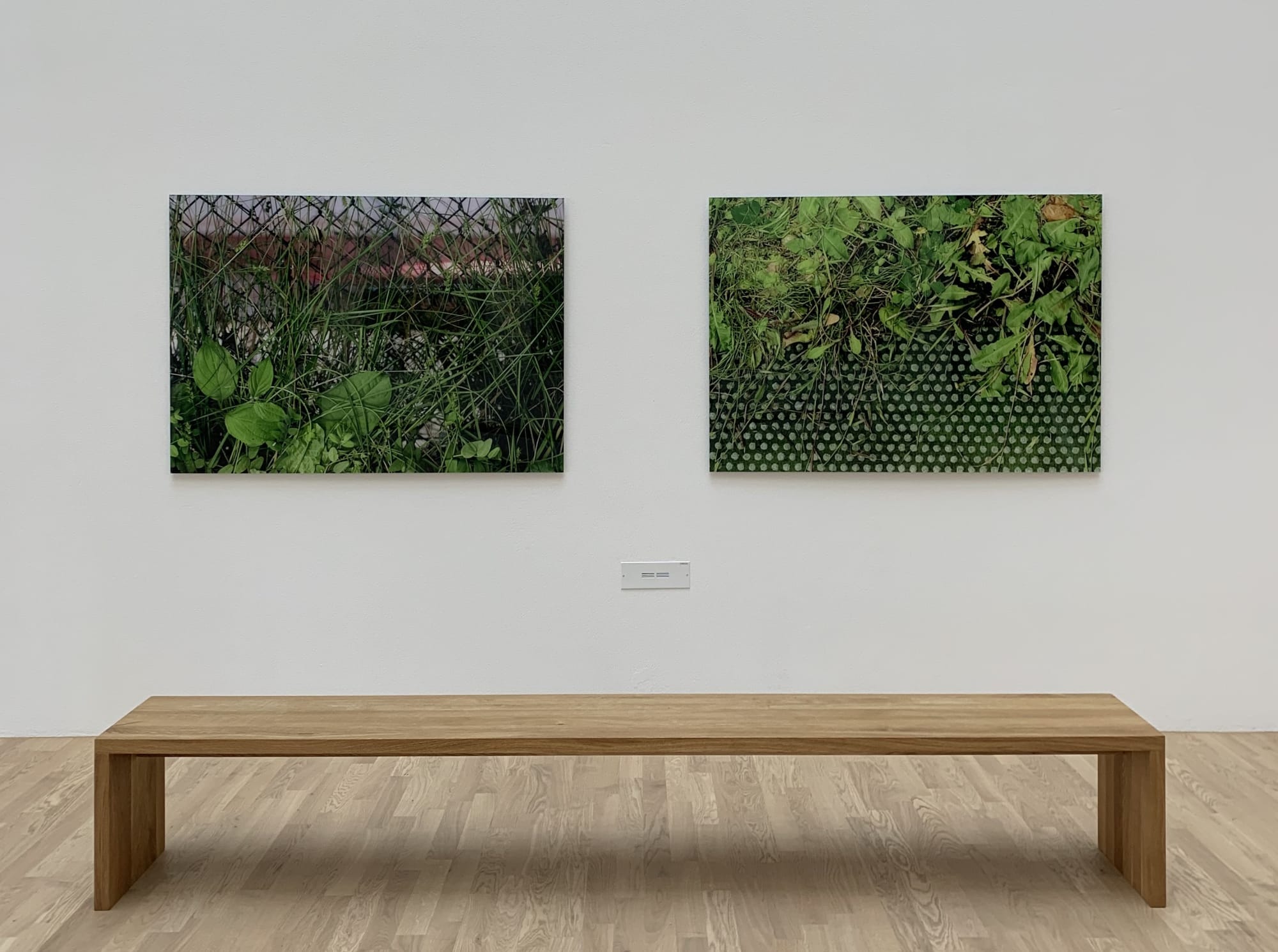 Ausstellung: "Close Encounters" von Till Könneker