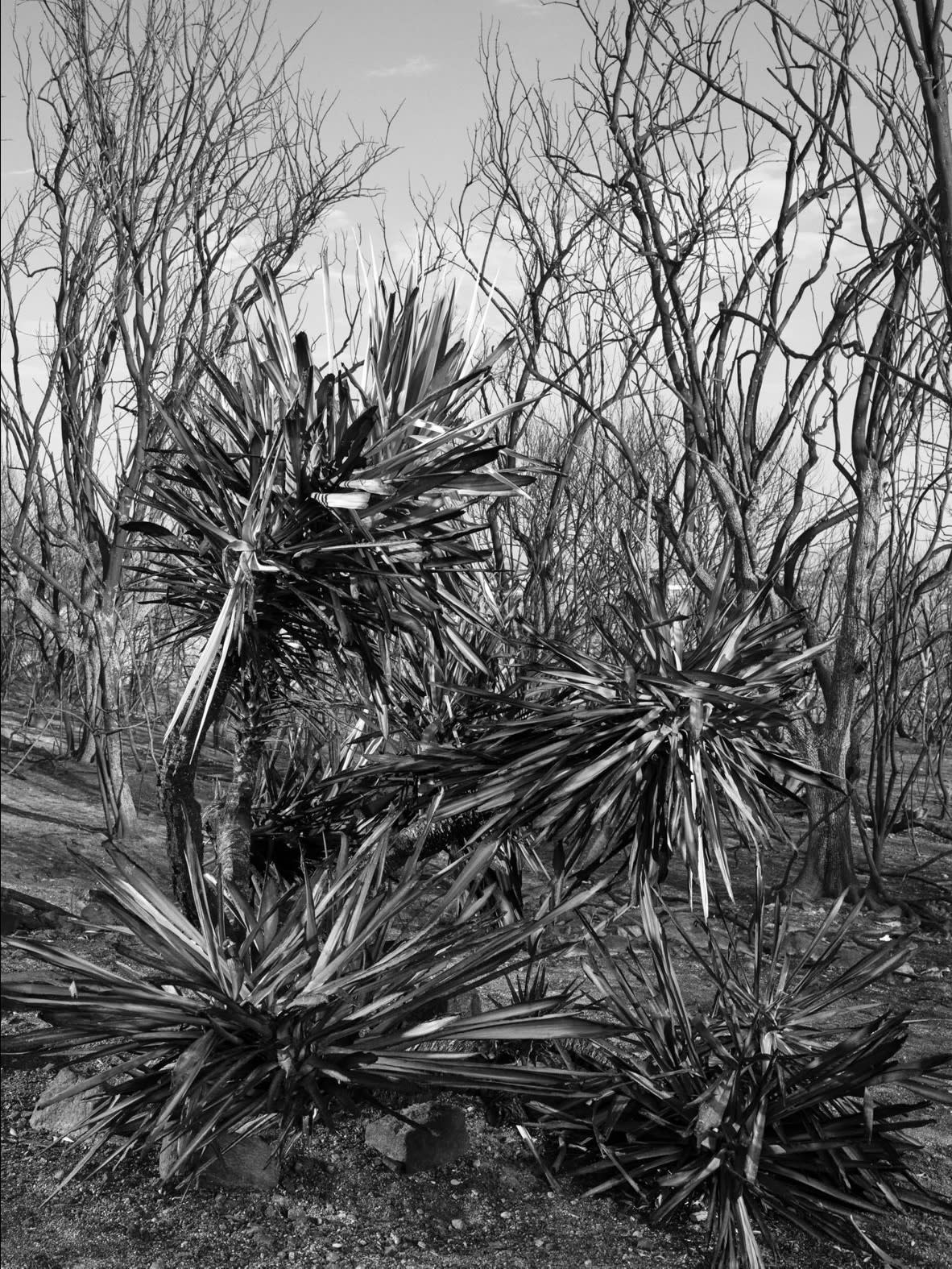 Ana Zibelnik & Jakob Ganslmeier, Fault Line 03, 2023