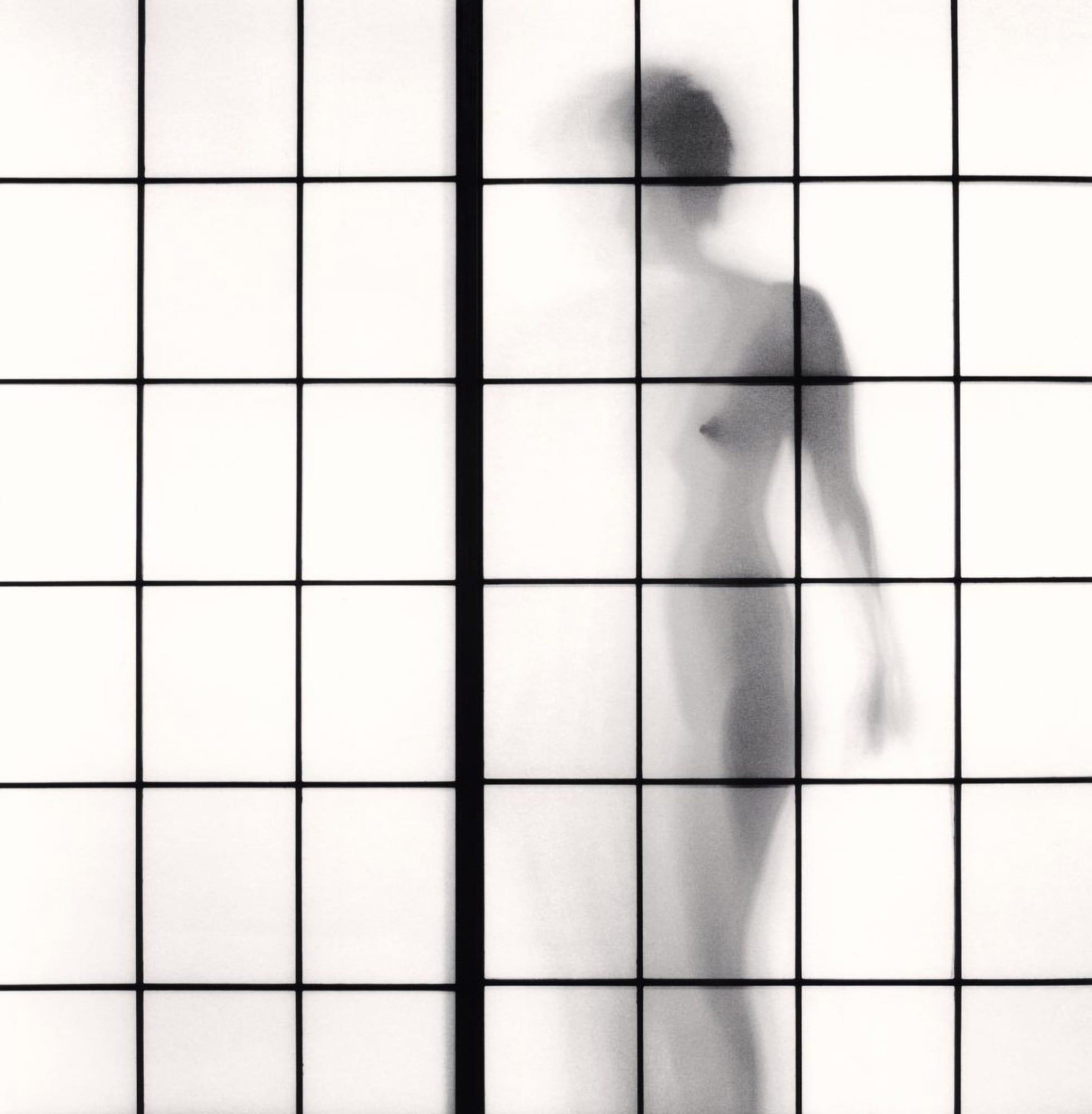 Michael Kenna, Ayako Study 3, 2010