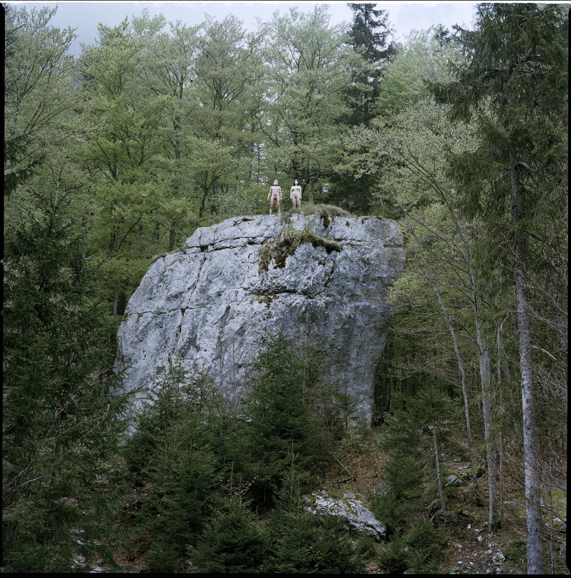 Manca Juvan, Back to Eden #1 , 2020