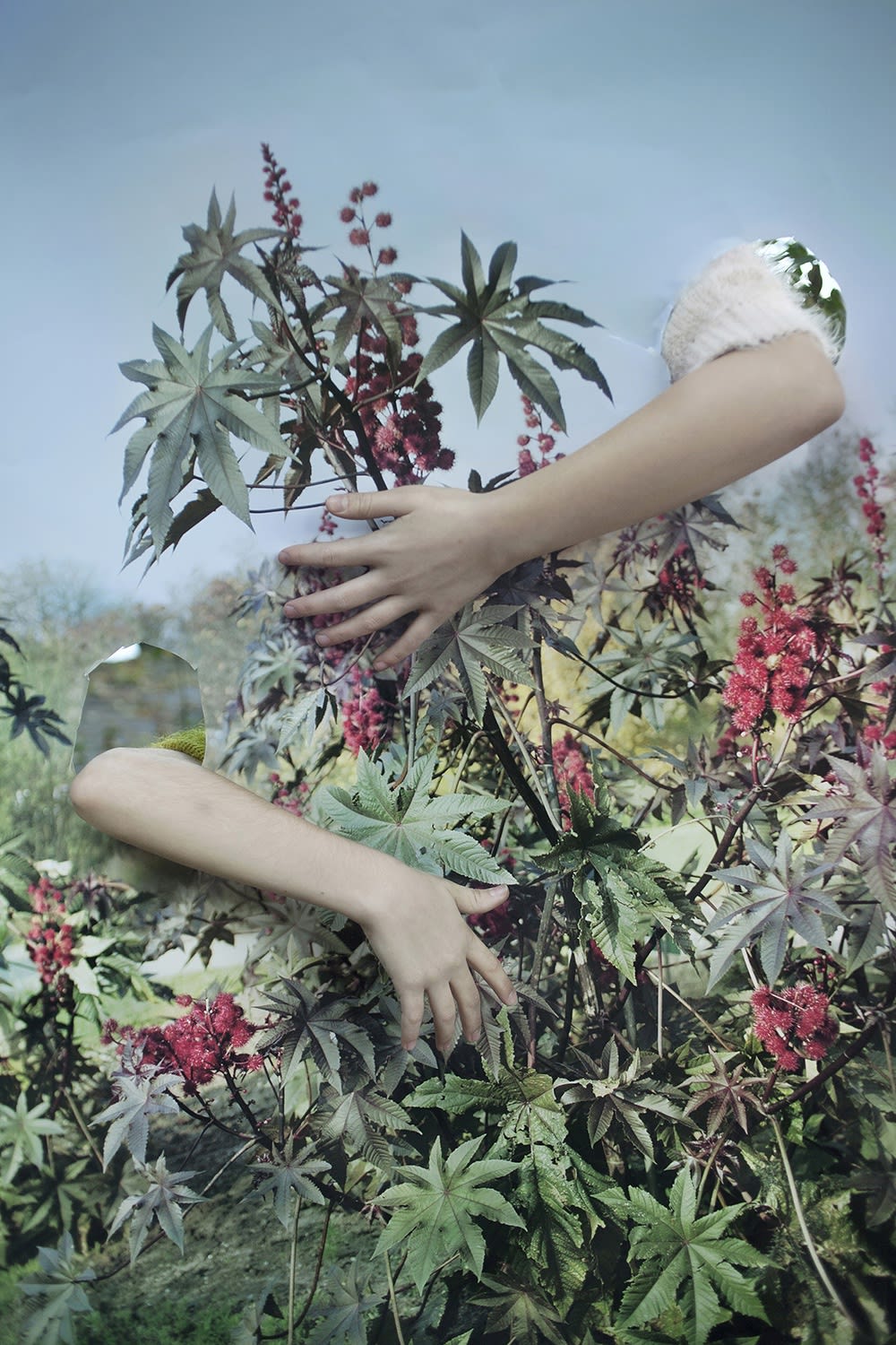 Vanja Bučan, Camouflage, 2015