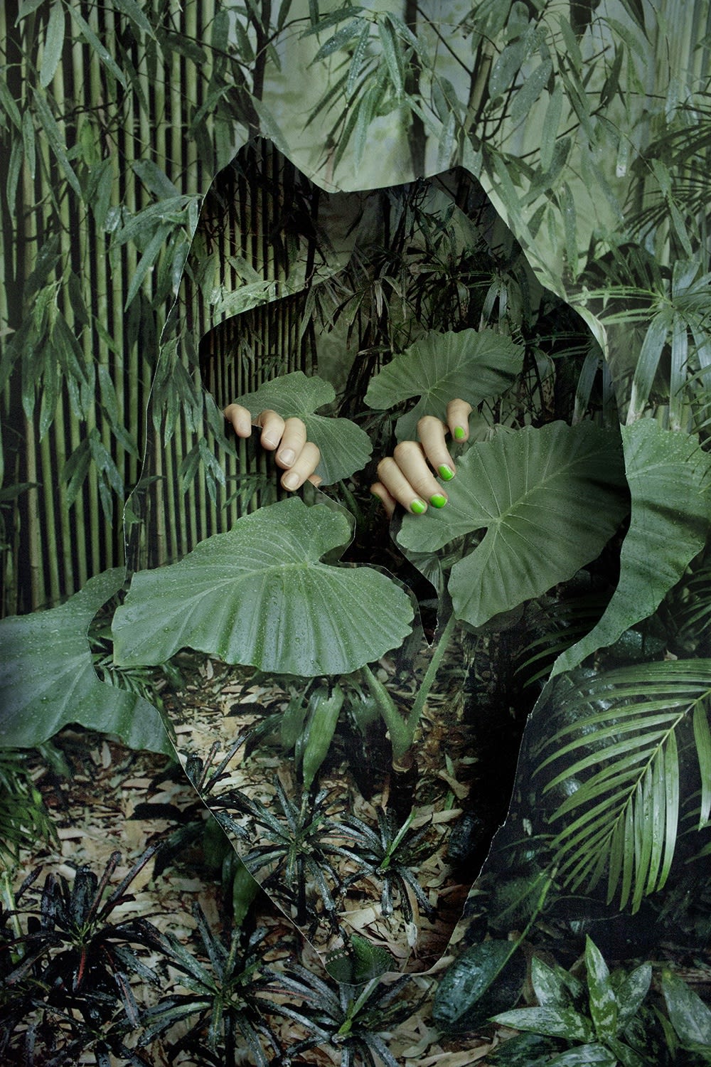 Vanja Bučan, Oasis, 2019