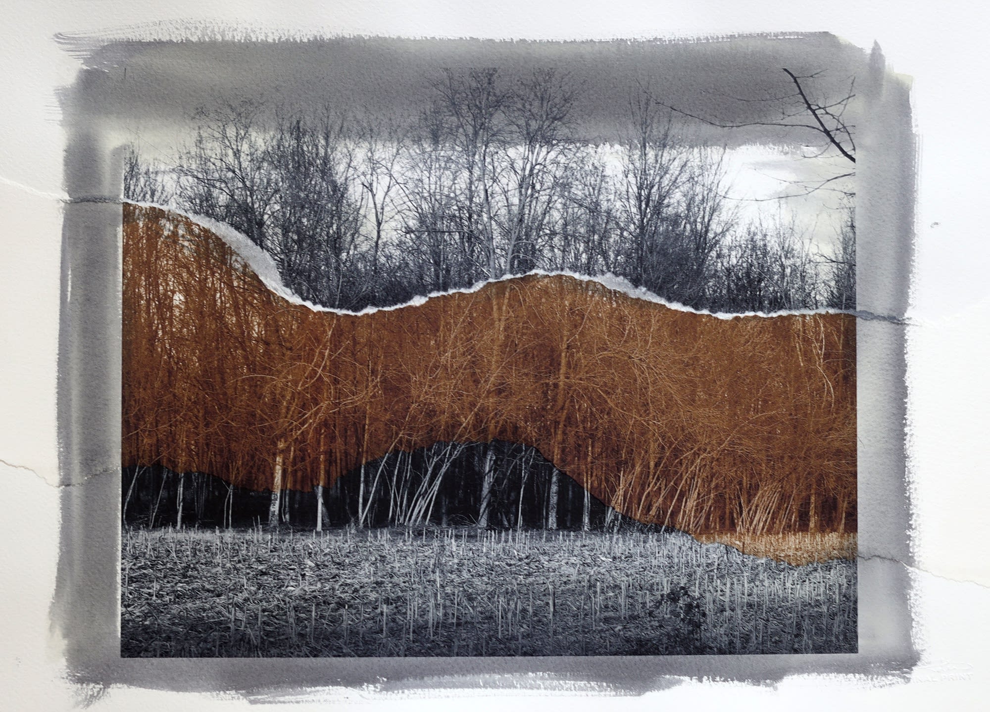 Euro Rotelli, Untitled #7 , 2021