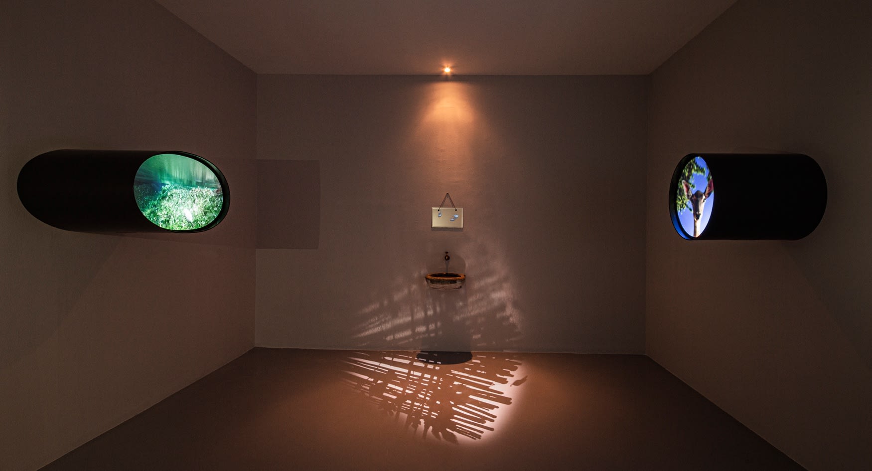 "Where The Winds Rest"