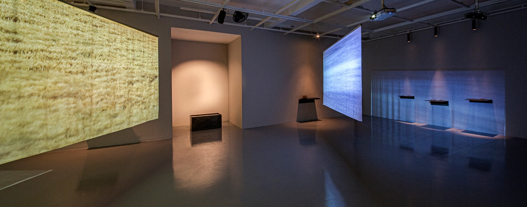 "Where The Winds Rest"