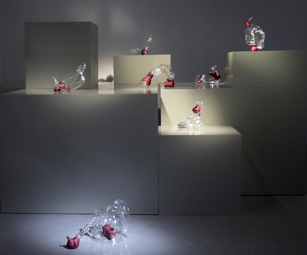 Elephant Eye Sleeps at the Window