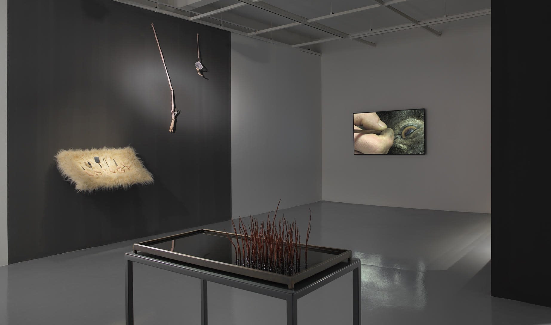 Photo: Hadiye Cangökçe