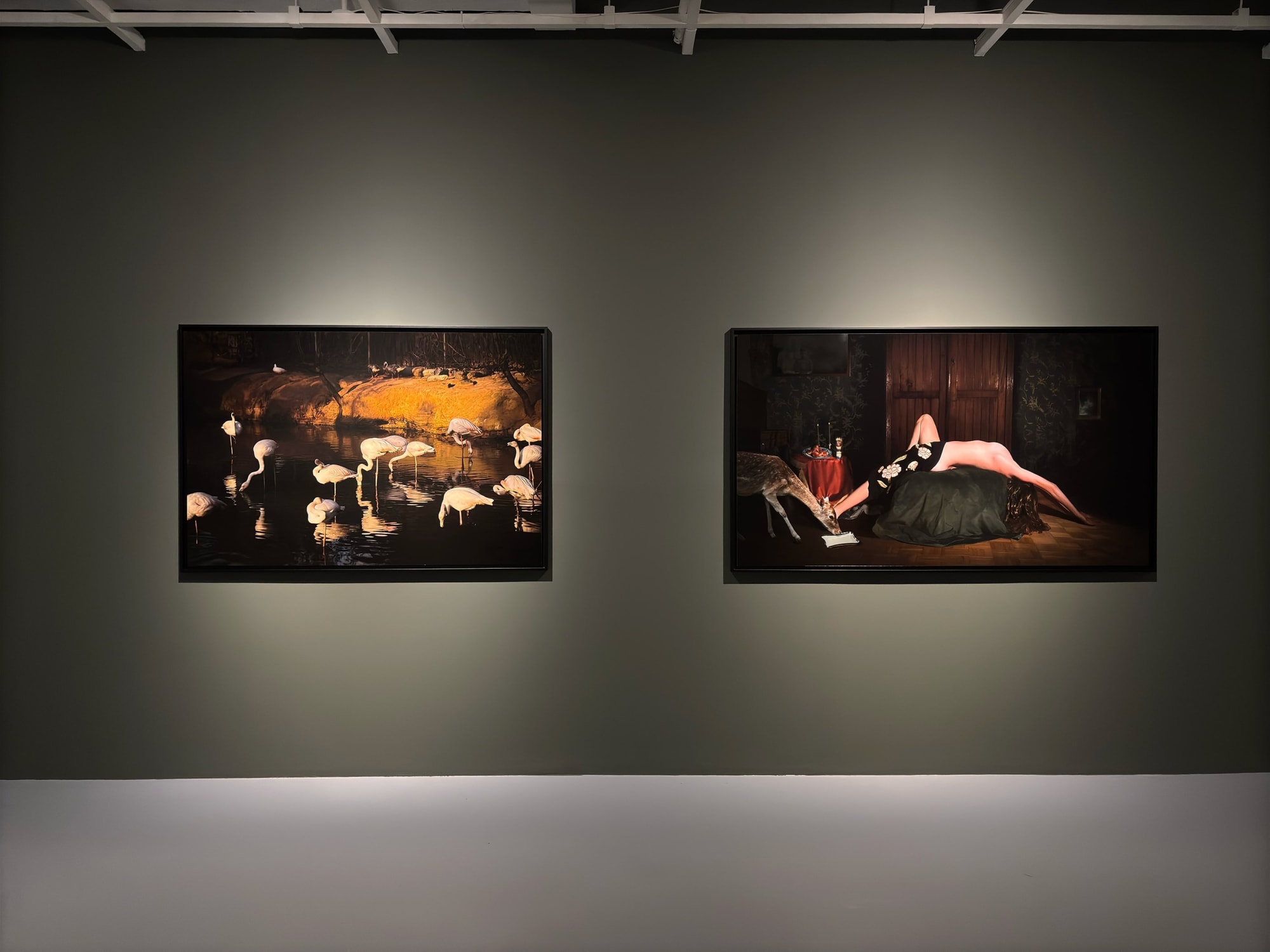 THE GHOST IN THE MACHINE