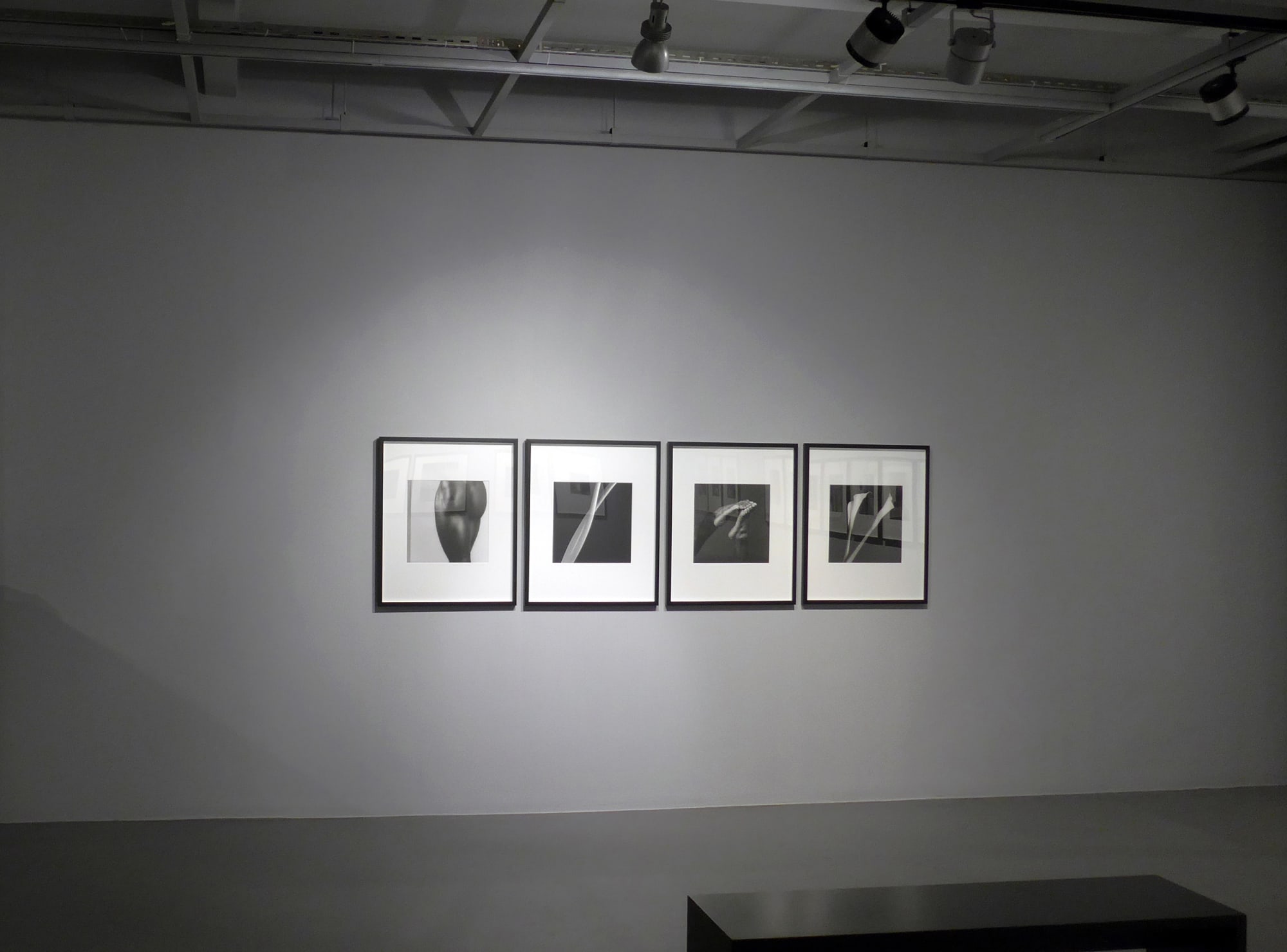 ROBERT MAPPLETHORPE: 1979- 1989