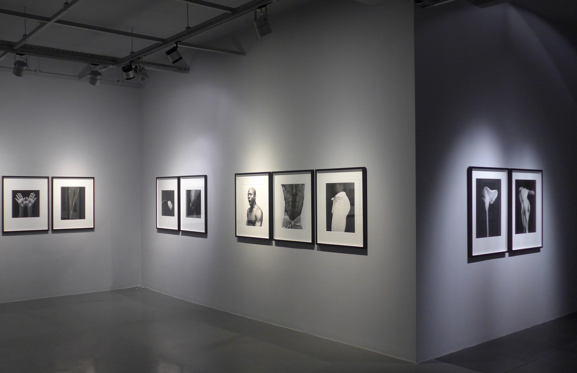 ROBERT MAPPLETHORPE: 1979- 1989