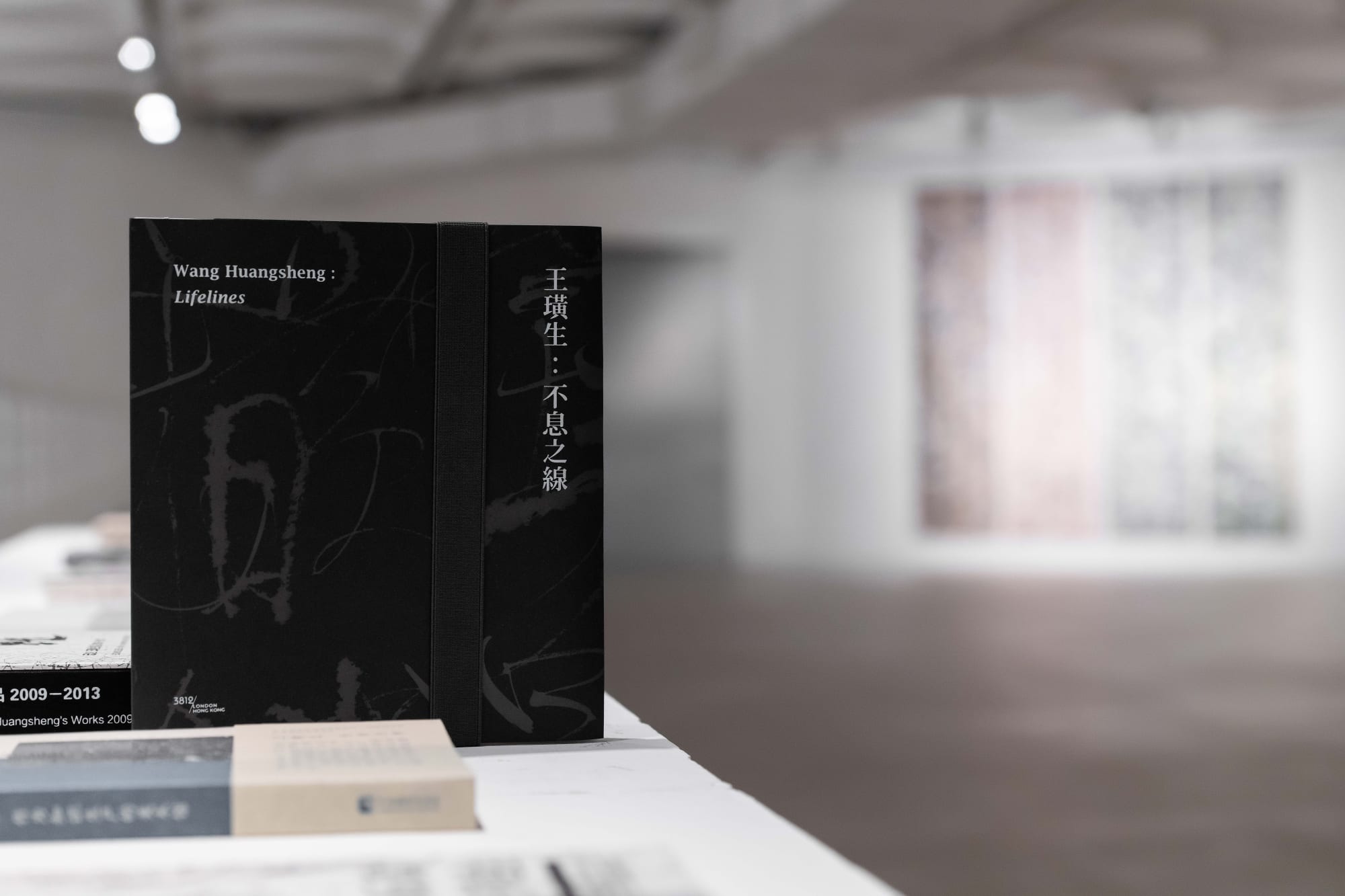 Wang Huangsheng: Lifelines