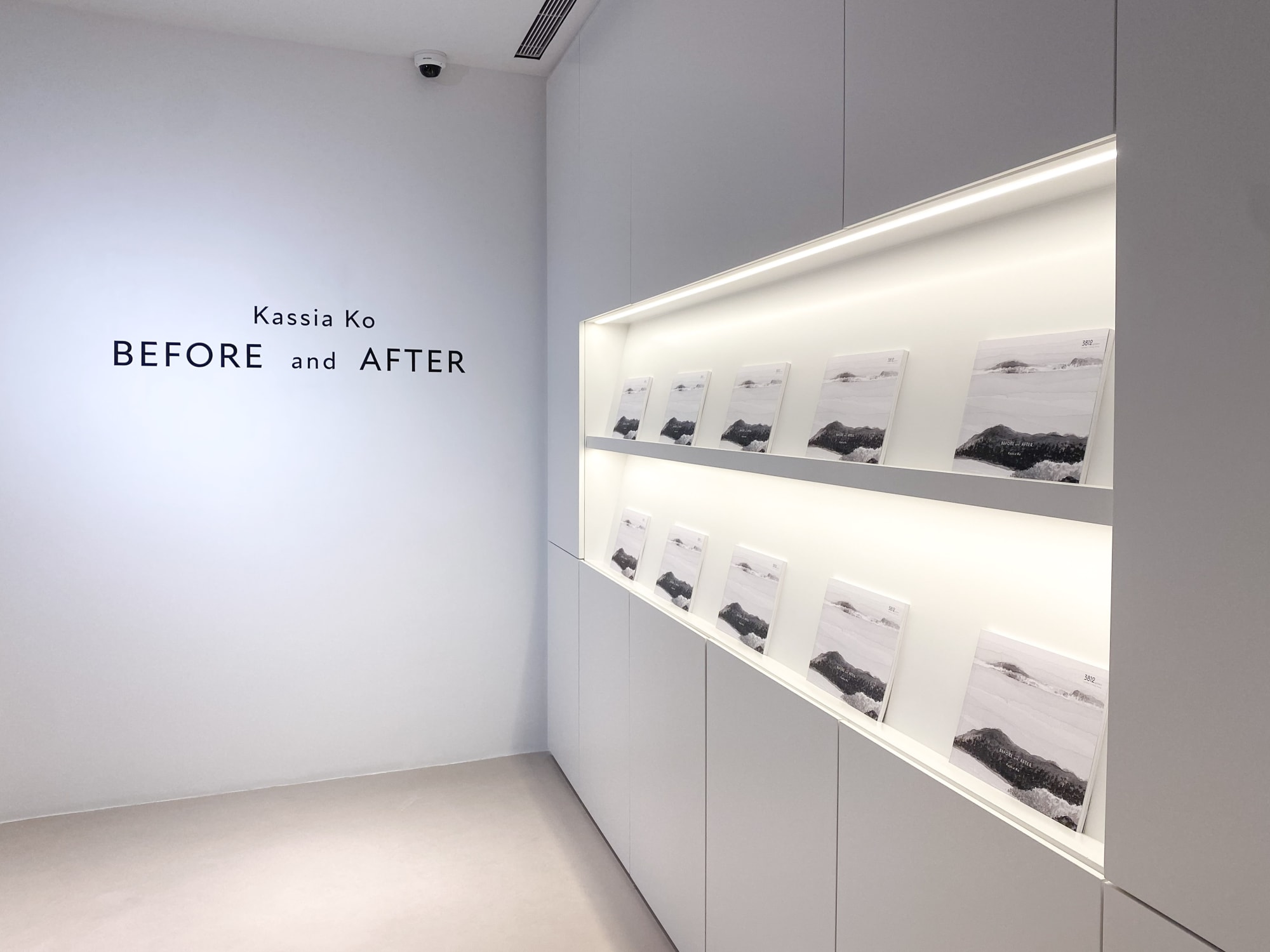 Before and After | Kassia Ko